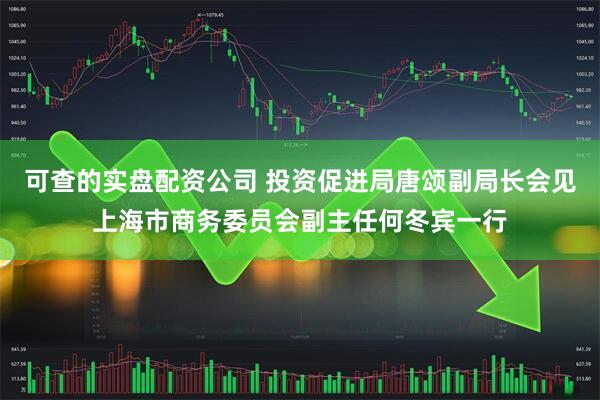 可查的实盘配资公司 投资促进局唐颂副局长会见上海市商务委员会副主任何冬宾一行