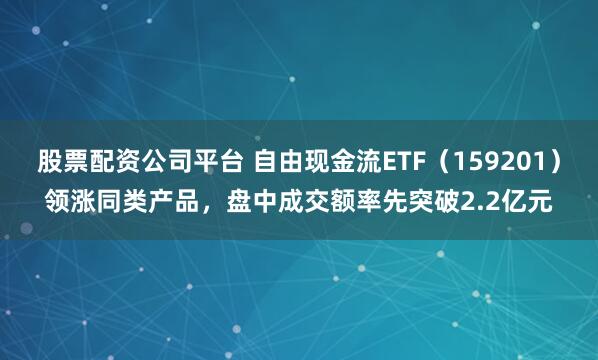 股票配资公司平台 自由现金流ETF（159201）领涨同类产品，盘中成交额率先突破2.2亿元