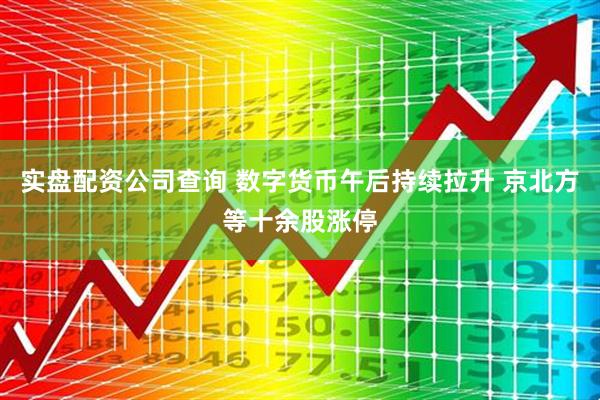 实盘配资公司查询 数字货币午后持续拉升 京北方等十余股涨停