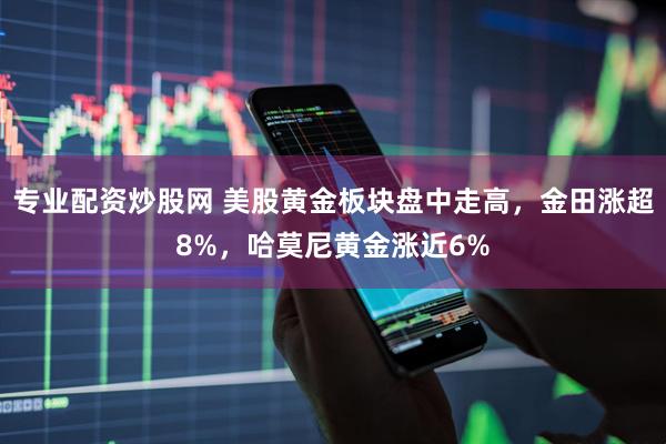 专业配资炒股网 美股黄金板块盘中走高，金田涨超8%，哈莫尼黄金涨近6%